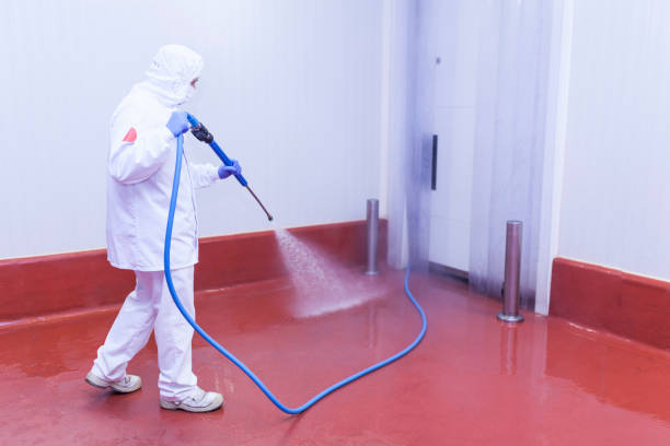 Pre-Holiday Cleaning in Lomira, WI