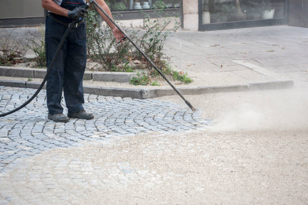 Best Building Exterior Washing  in Lomira, WI